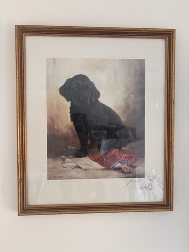 John trickett signed limited - trickett,