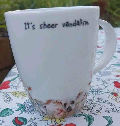 Rare hudson middleton - rare, mug