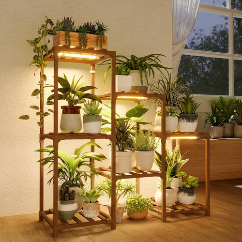 Plant stand with - with, grow