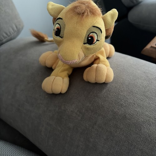 Young simba lion - lion, king