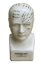 Small Ceramic Phrenology Head