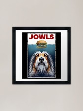 Funny Bearded Collie and