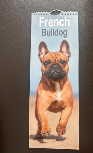 French bulldog 2026 - french, wall