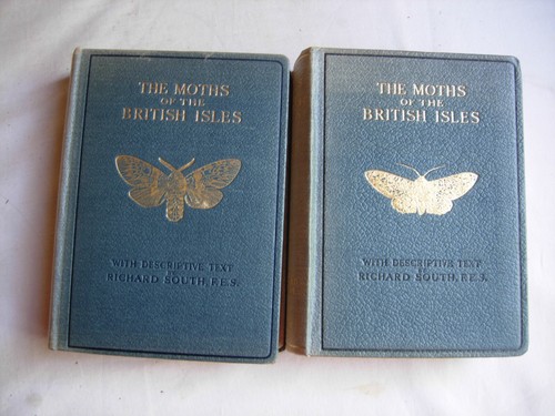 The moths british - moths,