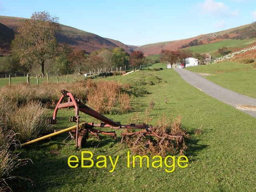 Haybob blaen bwch - at, blaen-bwch