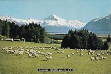 Postcard Farming Tasman Valley New Zealand [ Sheep ] Tiki Card  My Ref ZQ