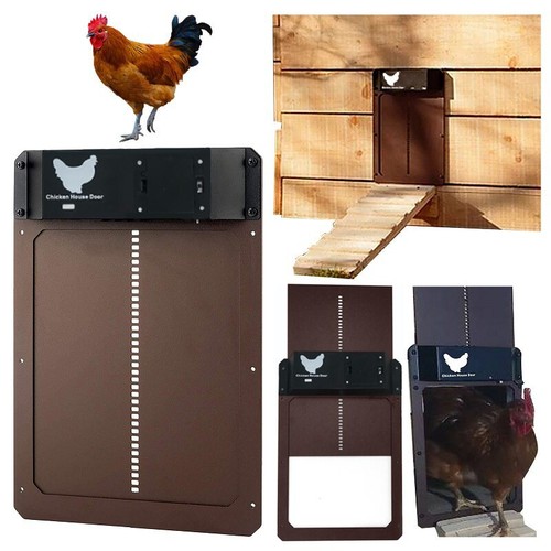 Automatic chicken coop - coop, door