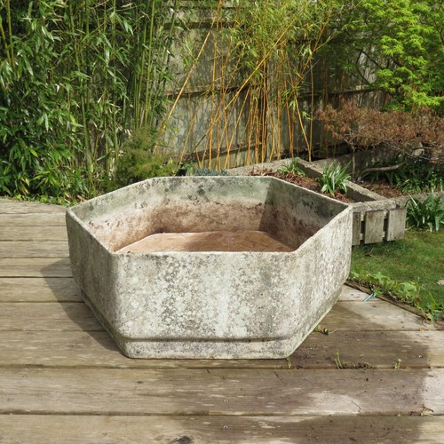 Large hexagon concrete garden - large,