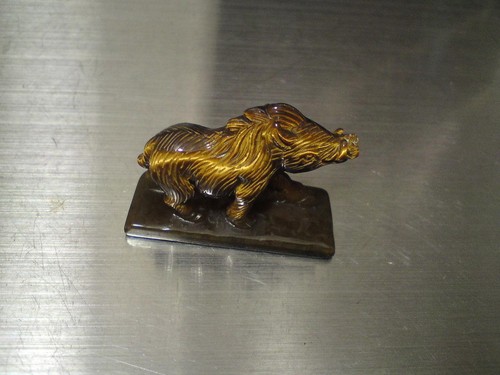 Miniature wild boar tiger - miniature,