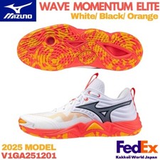 Mizuno Volleyball Shoes WAVE
