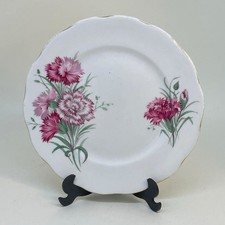 QUEEN ANNE Pink Carnation