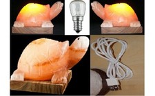  New Himalayan Turtle Shape