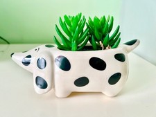 Ceramic spotted sausage dog/dachshund with faux succulents decoration 18x16.5cm