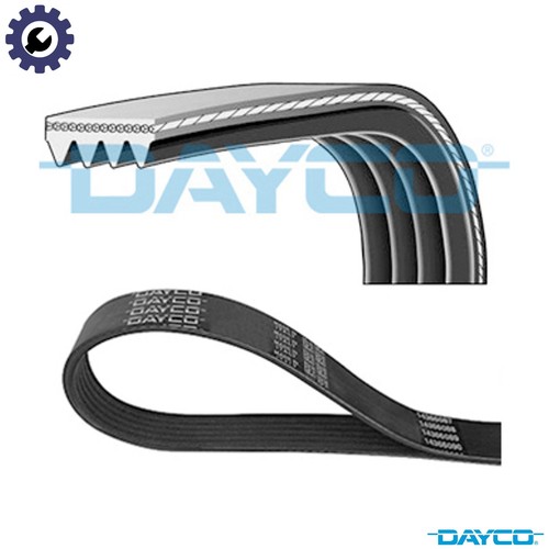 Vribbed belt 4pk788 - belt, smart