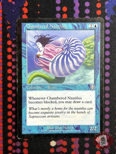 Chambered nautilus uncommon - chambered,