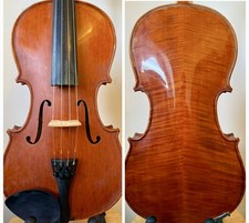 Beautiful & Stunning Maple