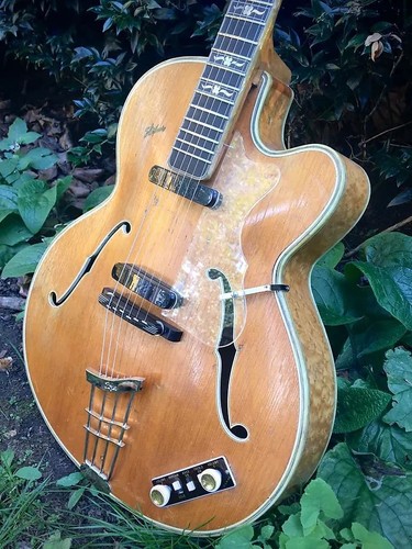 Hofner committee 1958 - hofner,