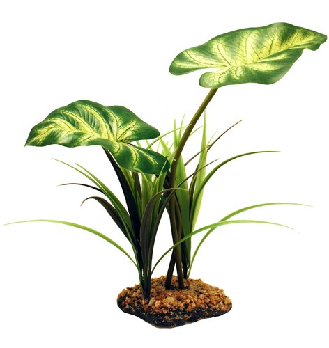 Terrarium vivarium large - vivarium,