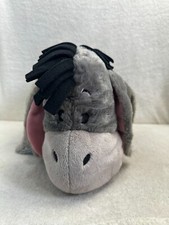 RARE Disney Parks Dream