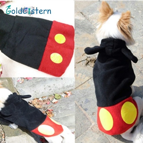 Dog top jumper chihuahua - dog,