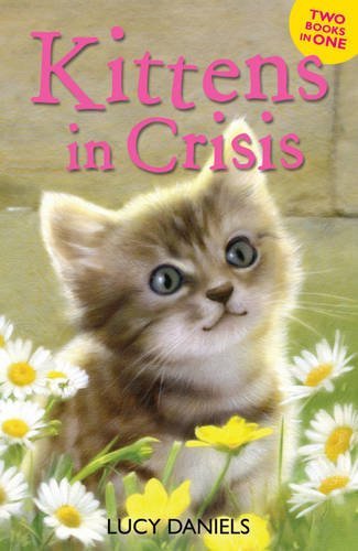 Kittens crisis tabby - kittens, crisis: