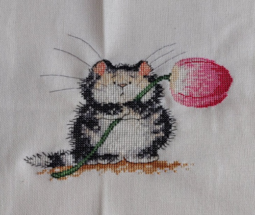 Completed cross stitch cat not - completed,