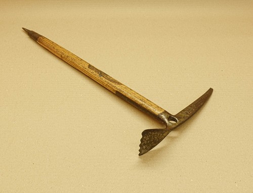 Rare unusual walking stick - unusual,