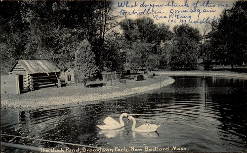 Postcard duck pond brooklawn - duck,