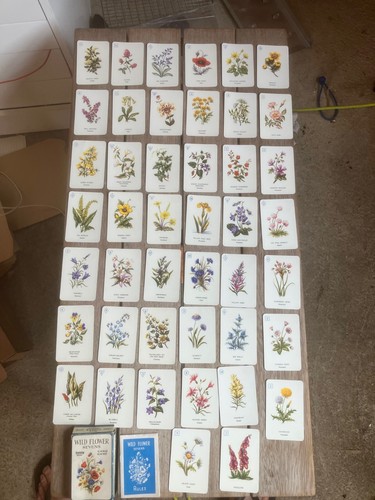 Wild flower sevens - wild,