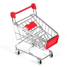 — Toy Parakeet Budgie