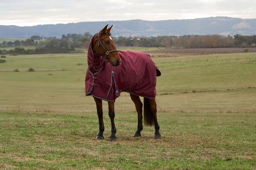 Weatherbeeta comfitec prelim - weatherbeeta,