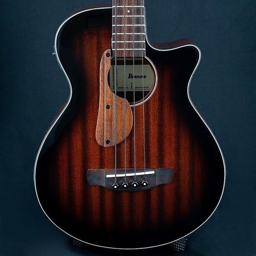 Ibanez aegb24e - ibanez,