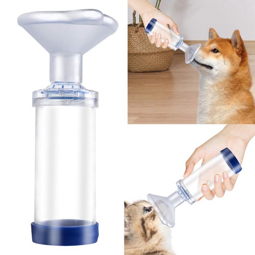 Cat asthma inhaler spacer - asthma,