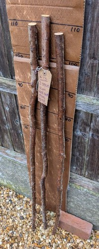 Blackthorn walking stick - blackthorn,
