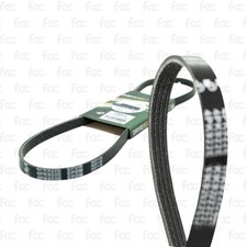 Alternator drive belt - alternator, /