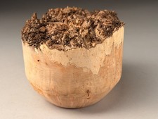 Spalted SycamoreLive Edge Burr Resin Woodturning Bowl Blanks 6x5 inch .9 KG