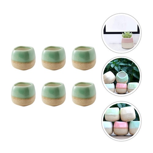 6pcs mini flowers pots - mini,