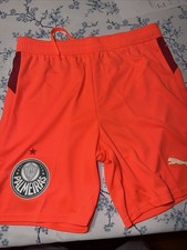 Puma Palmeiras KidSuper Shorts