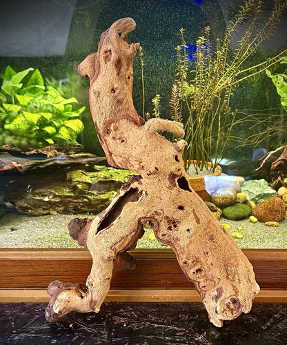 Large aquarium driftwood - aquarium,