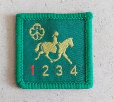 Vintage Girl Guide Brownie