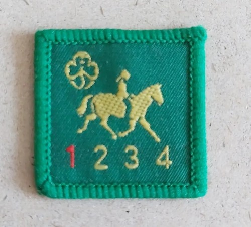 Vintage girl guide brownie - girl,