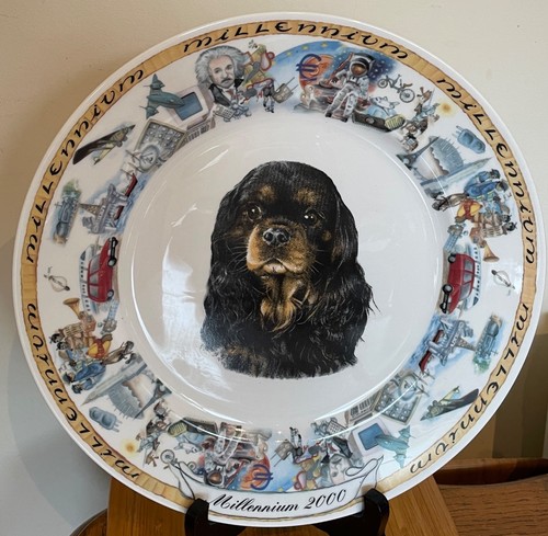 Rabart cavalier king charles - king,