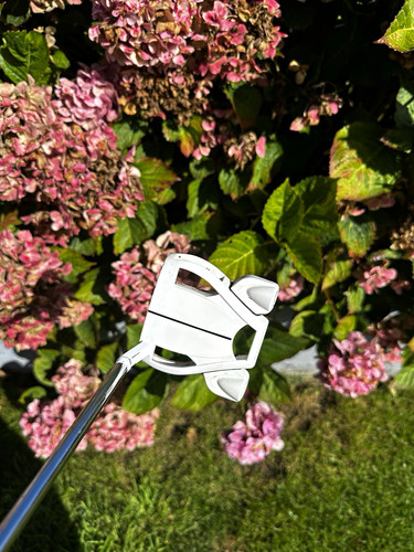 Taylormade spider ghost - taylormade,