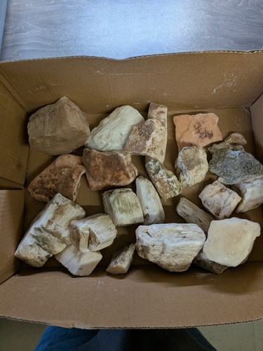 Bulk lot raw - bulk,