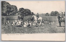 The Bramham Moor Hounds