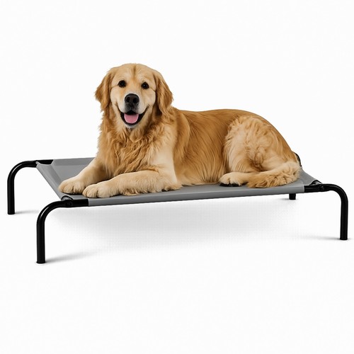 Elevated pet bed - pet, raised