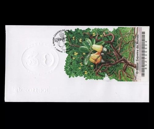 Fruit brazil caju - brazil, the