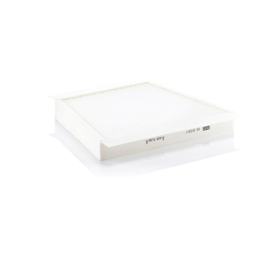 Particulate cabin pollen - particulate,