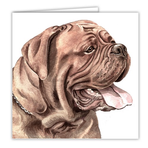 Dogue bordeaux greetings - dogue,