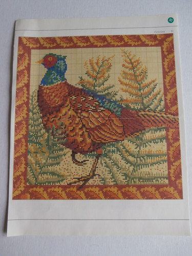 Ehrman gloucester pheasant - gloucester,